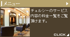 メニュー紹介